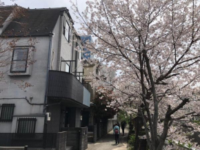 sakurakan
